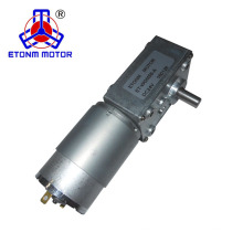 CE, motor silencioso 12v 24v del engranaje de gusano de la aprobación de RoHS con reacción baja